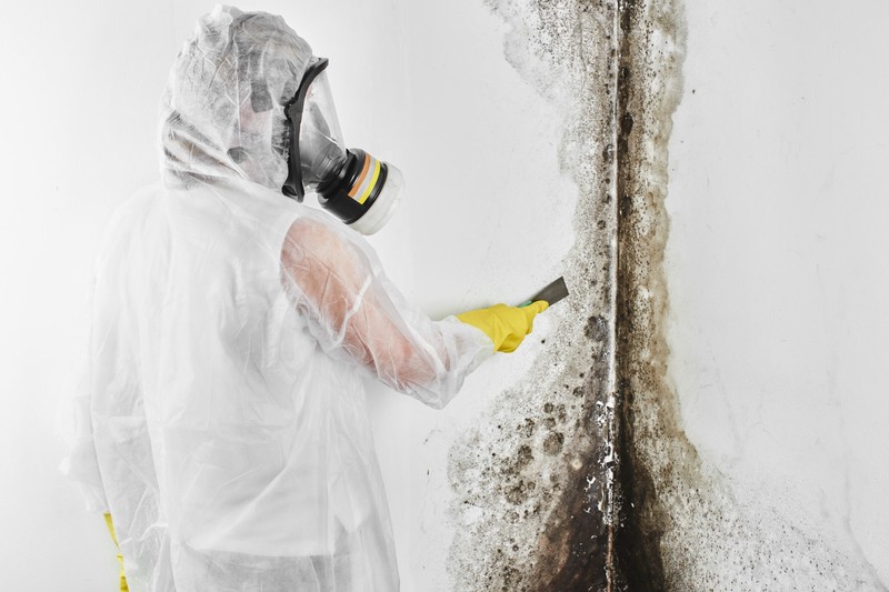 Mold Removal by Certified Green Team