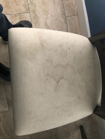 Before & After Upholstery Cleaning in Fort Lauderdale, FL (1)