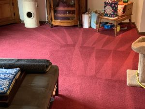 Town Carpet cleaning by Certified Green Team